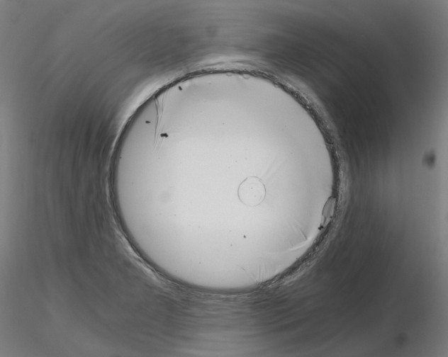 X0000115481277200912181201