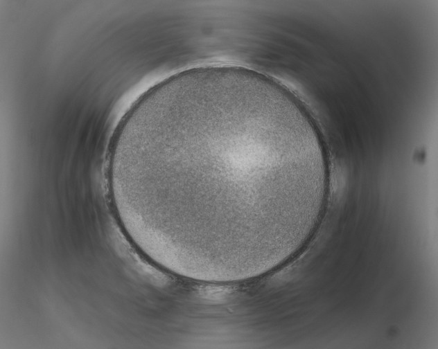 X0000115481278200912181201