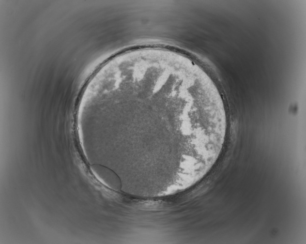 X0000115481279200912181201