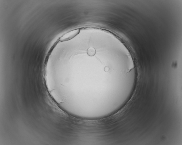 X0000115481280200912181201