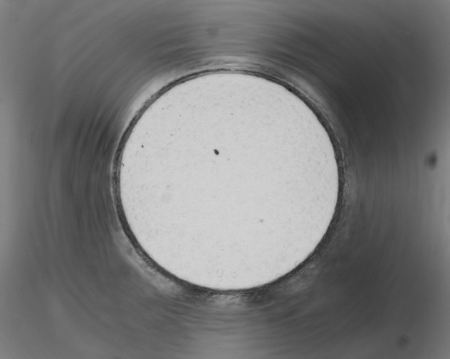 X0000115481283200912181201