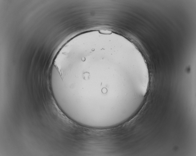 X0000115481284200912181201