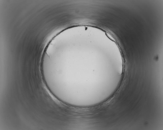 X0000115481285200912181201