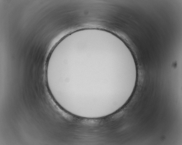X0000115481286200912181200
