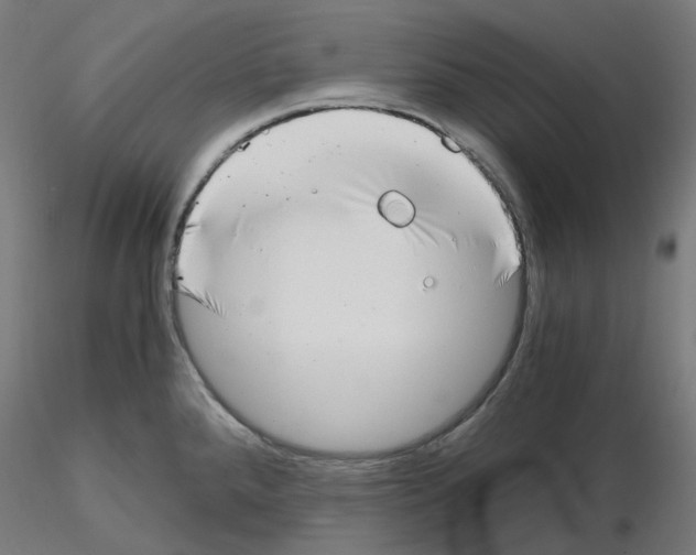 X0000115481288200912181200