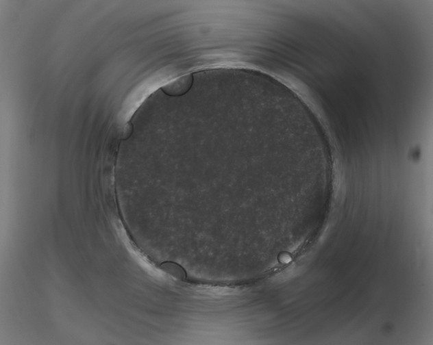 X0000115481289200912181200