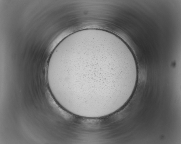 X0000115481290200912181200
