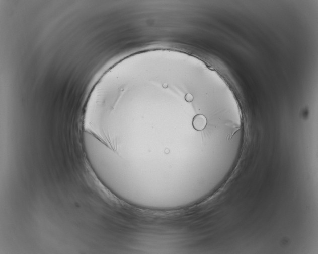 X0000115481292200912181200