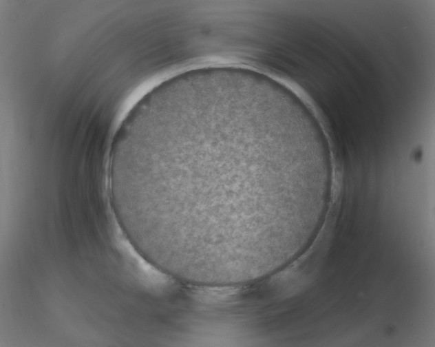 X0000115481294200912181200