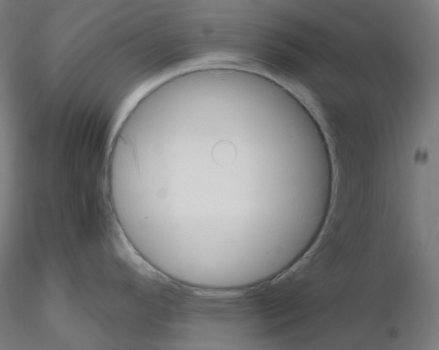 X0000115481296200912181200