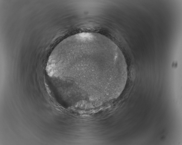 X0000115481297200912181200
