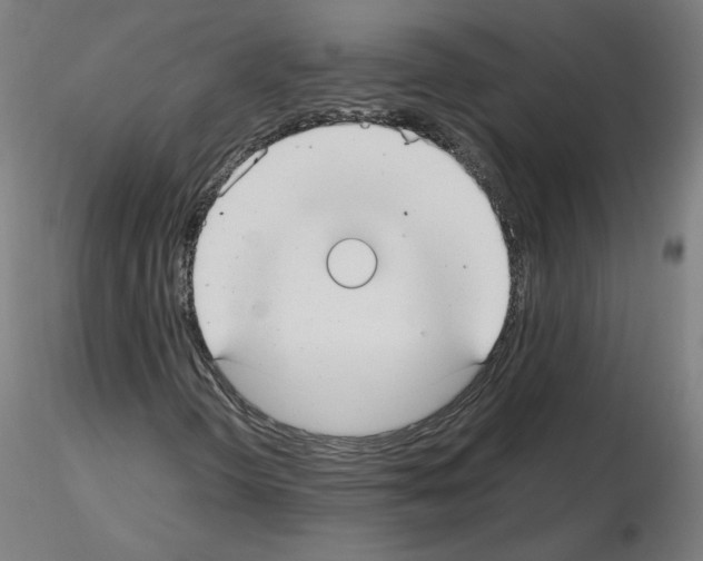 X0000115481298200912181200