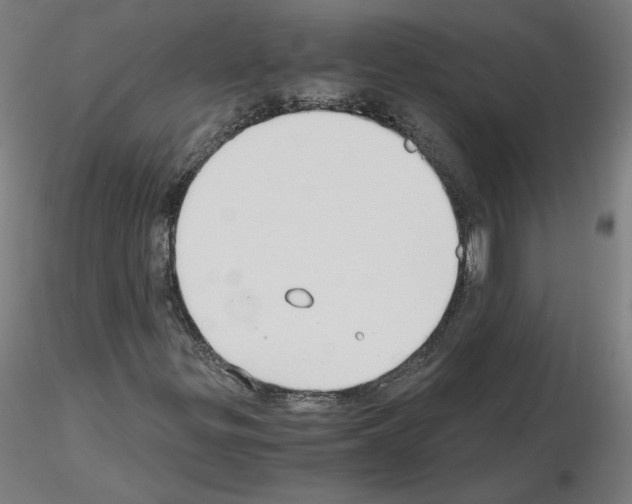 X0000115481299200912181200