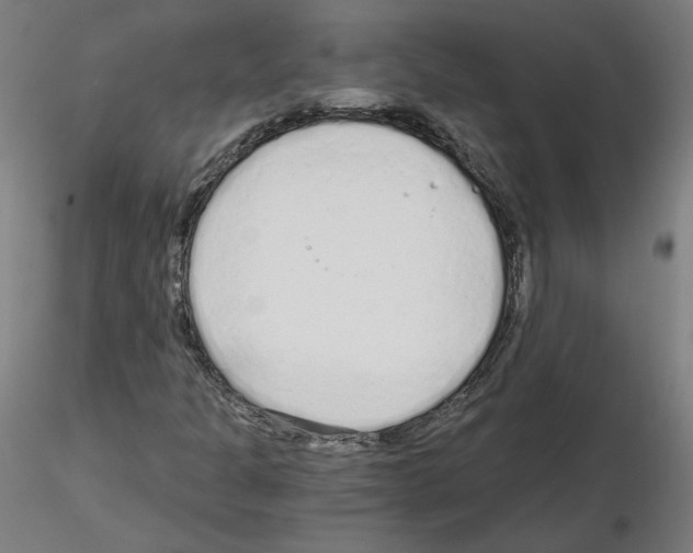 X0000115481301200912181200