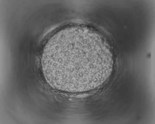 X0000115481302200912181200