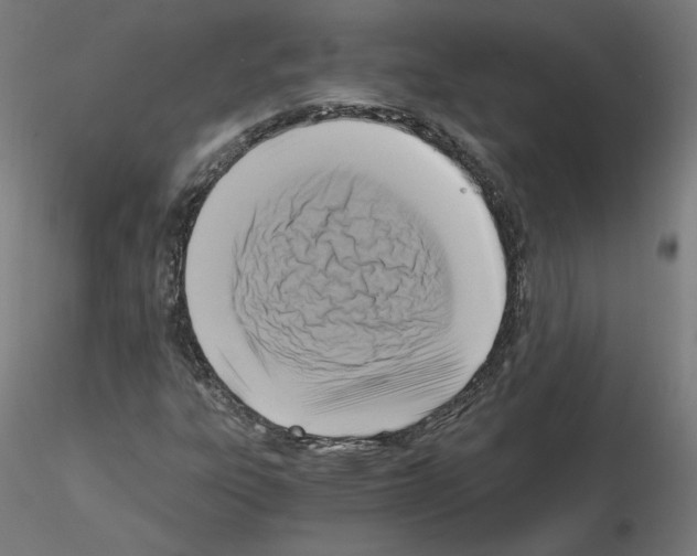 X0000115481303200912181200