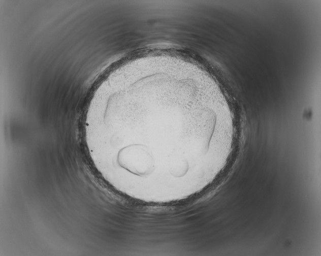 X0000115481305200912181200