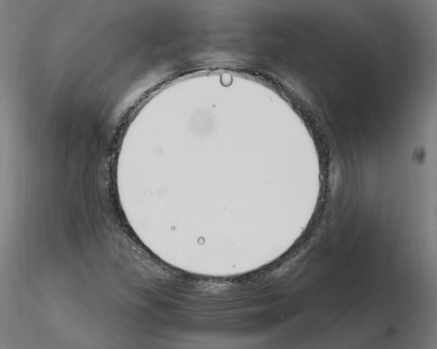 X0000115481309200912181200