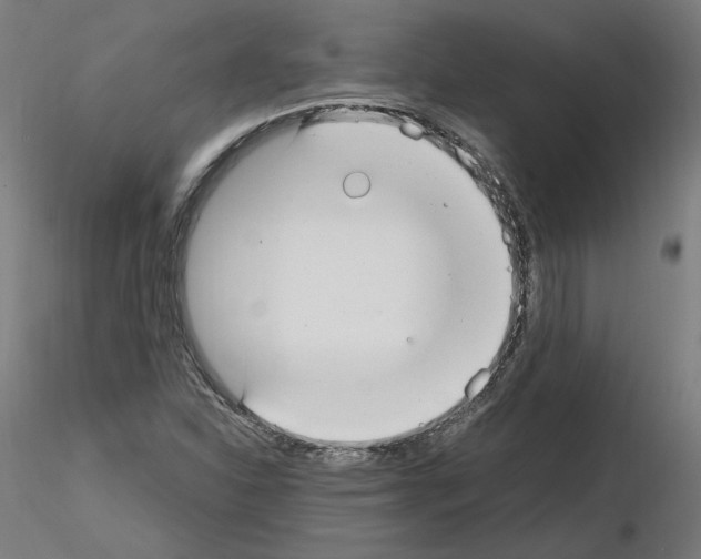 X0000115481310200912181200