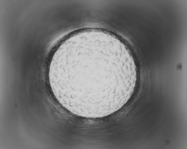 X0000115481311200912181200