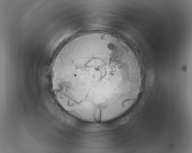 X0000115481314200912181200