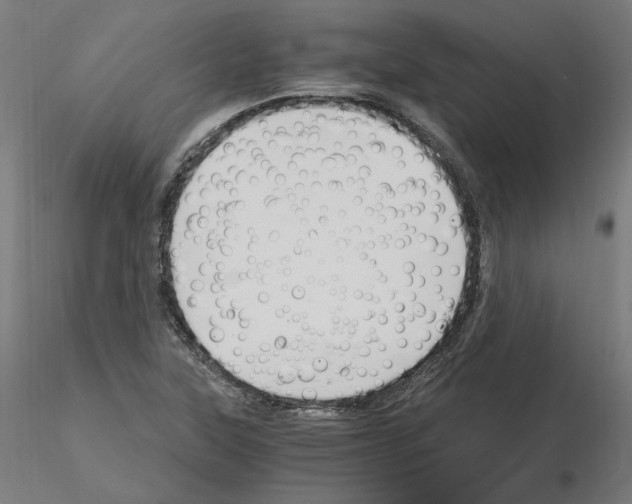 X0000115481315200912181200