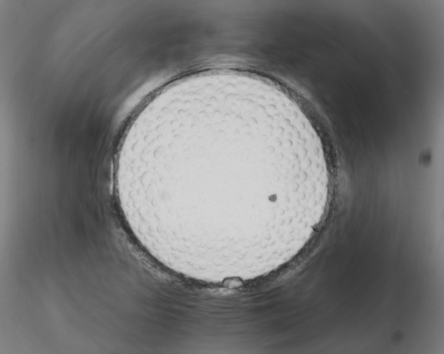 X0000115481317200912181200