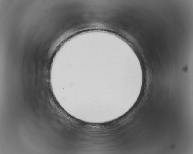 X0000115481318200912181200