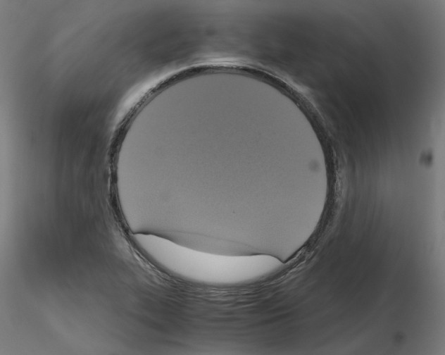 X0000115481319200912181200
