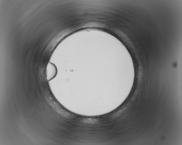 X0000115481321200912181200