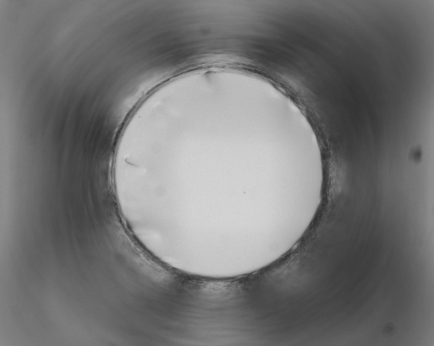 X0000115481322200912181200