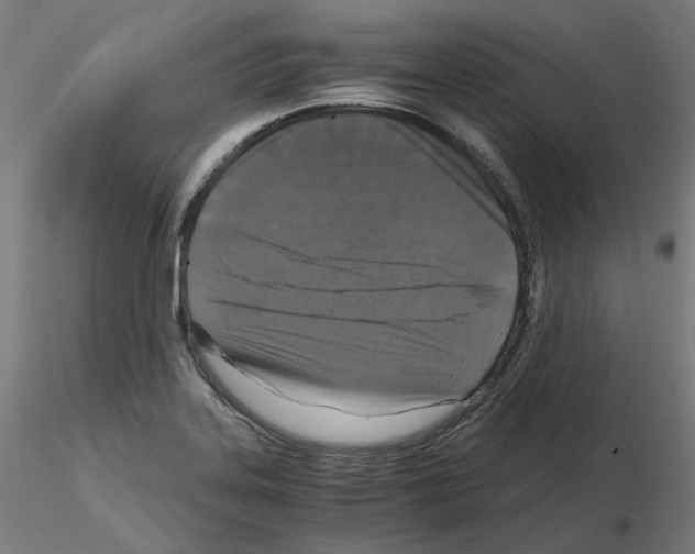 X0000115481323200912181200