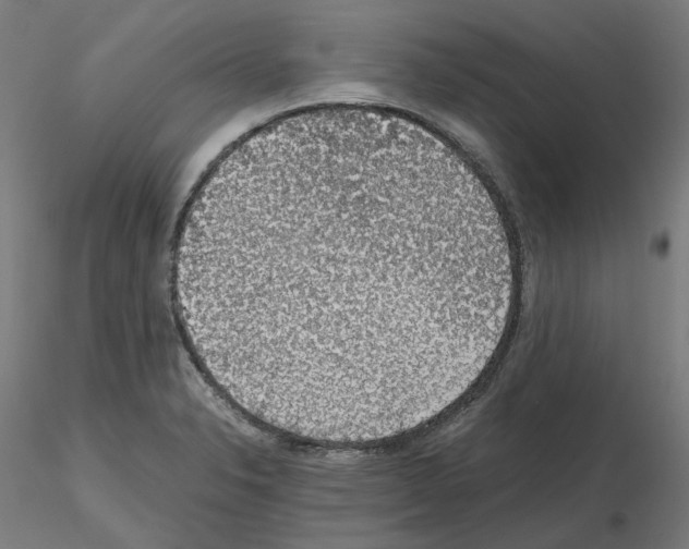 X0000115481326200912181200