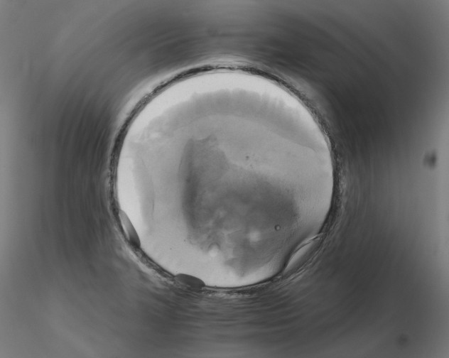 X0000115481327200912181200