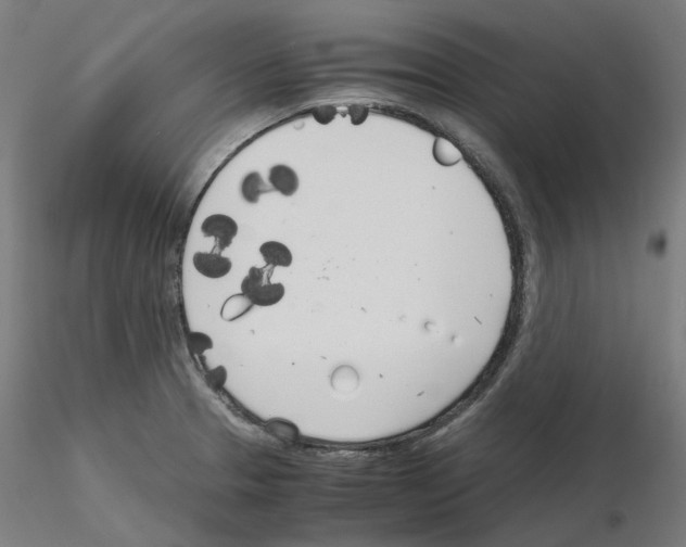 X0000115481329200912181200
