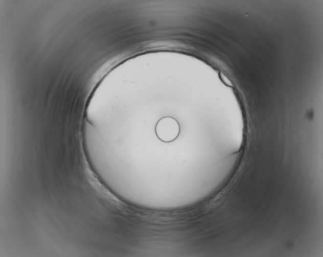 X0000115481330200912181200