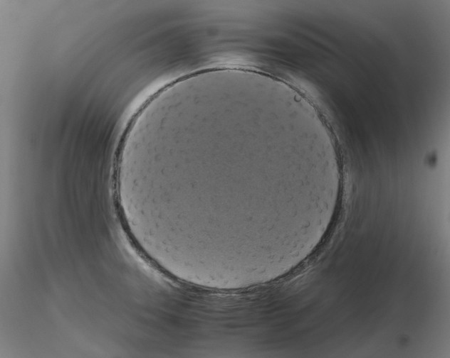X0000115481331200912181200