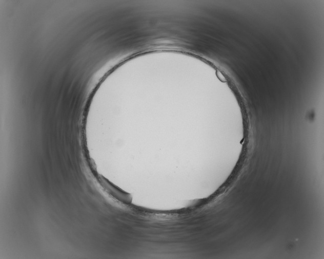 X0000115481333200912181200