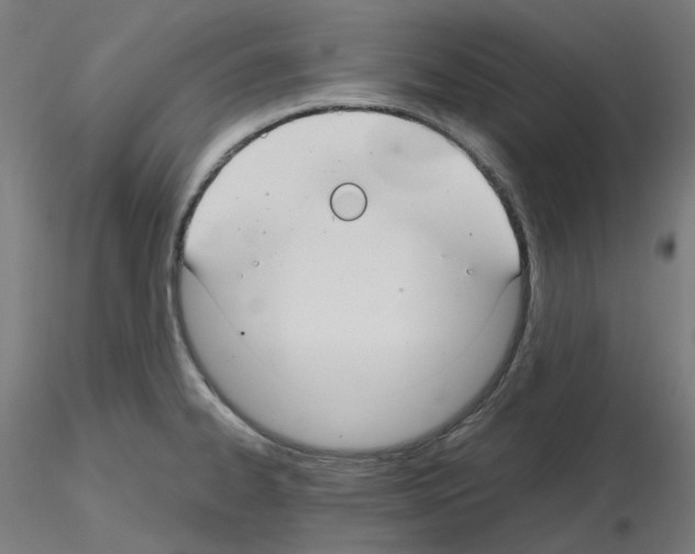 X0000115481334200912181200