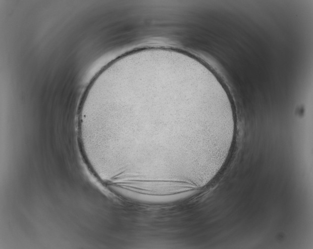 X0000115481335200912181200