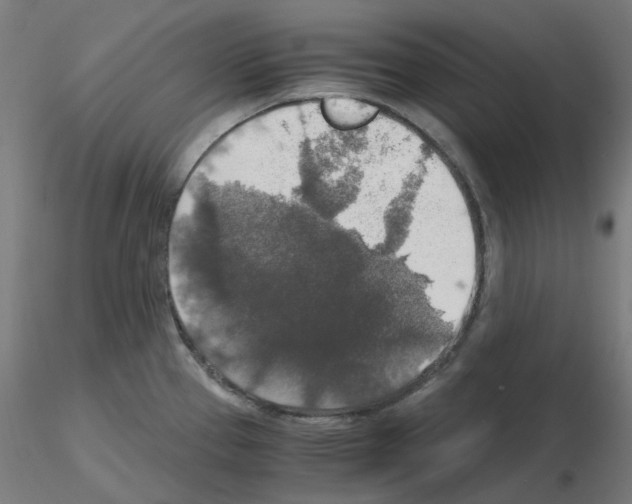 X0000115481337200912181200