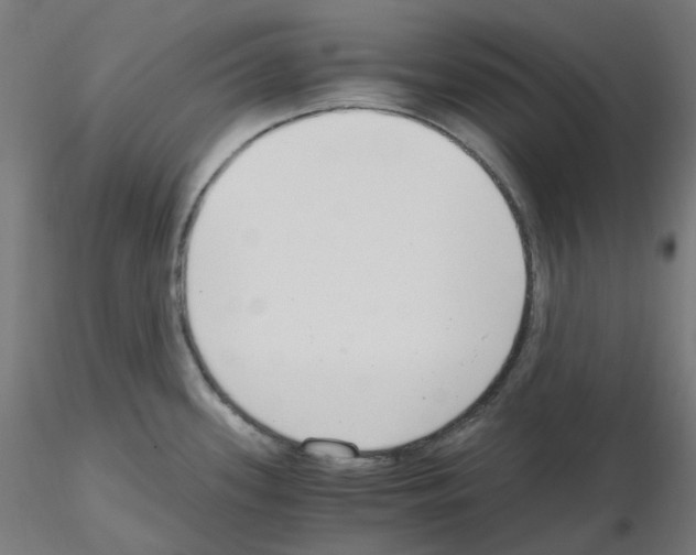 X0000115481339200912181200