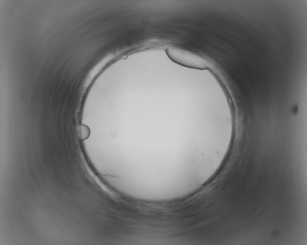X0000115481341200912181200