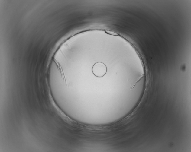 X0000115481342200912181200