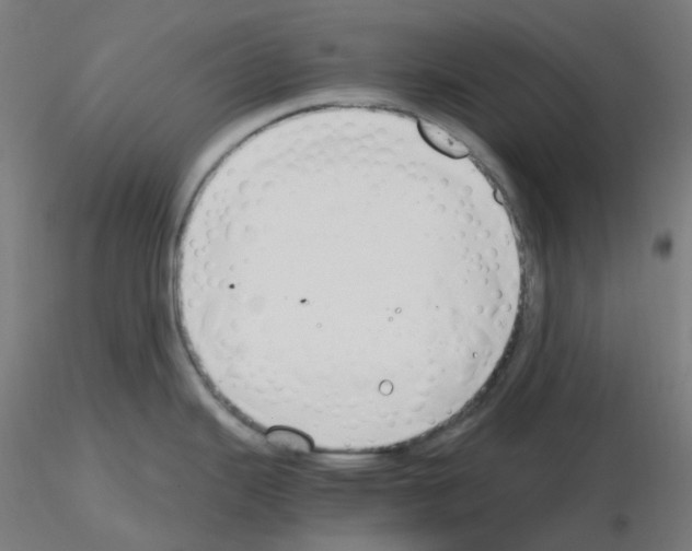 X0000115481343200912181200