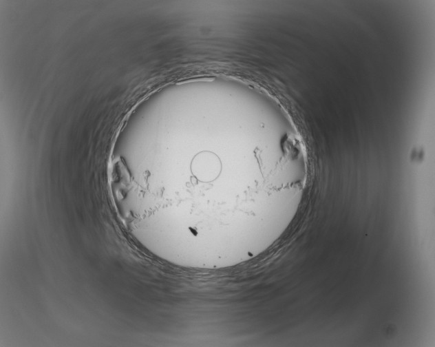 X0000115481345200912181200