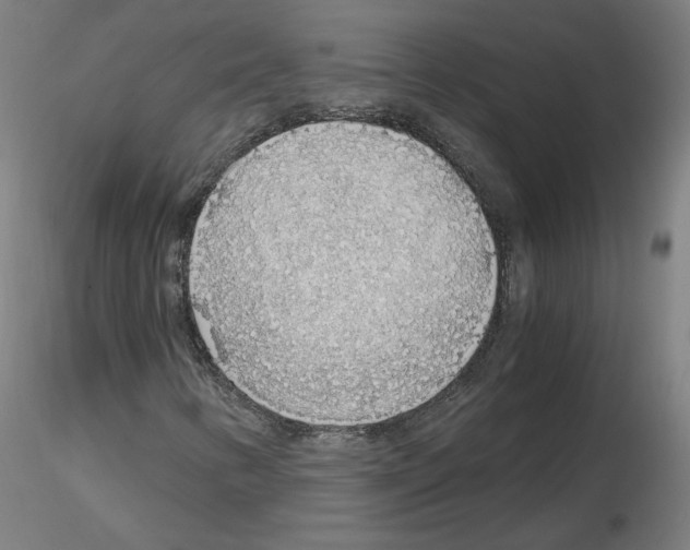 X0000115481346200912181200