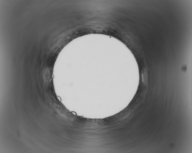 X0000115481347200912181200