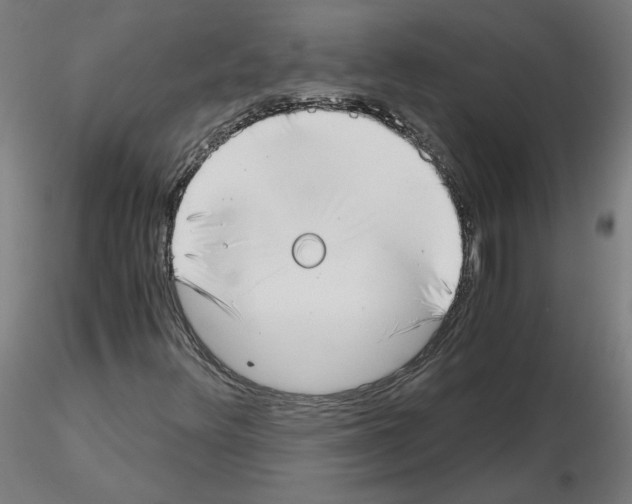 X0000115481348200912181200