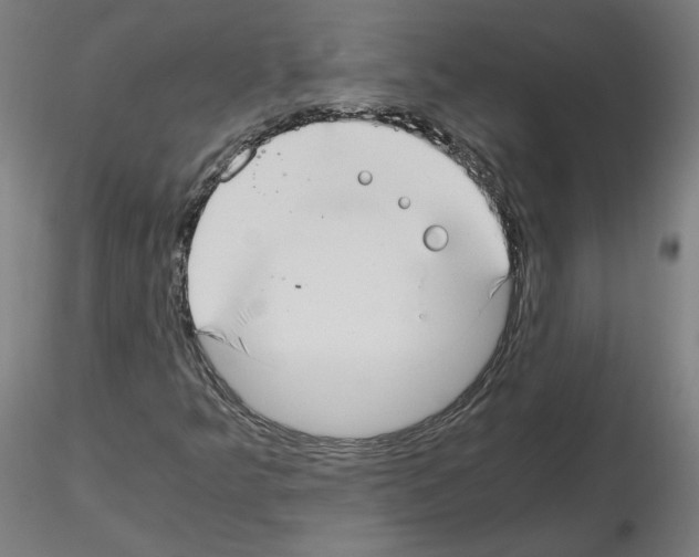 X0000115481349200912181200